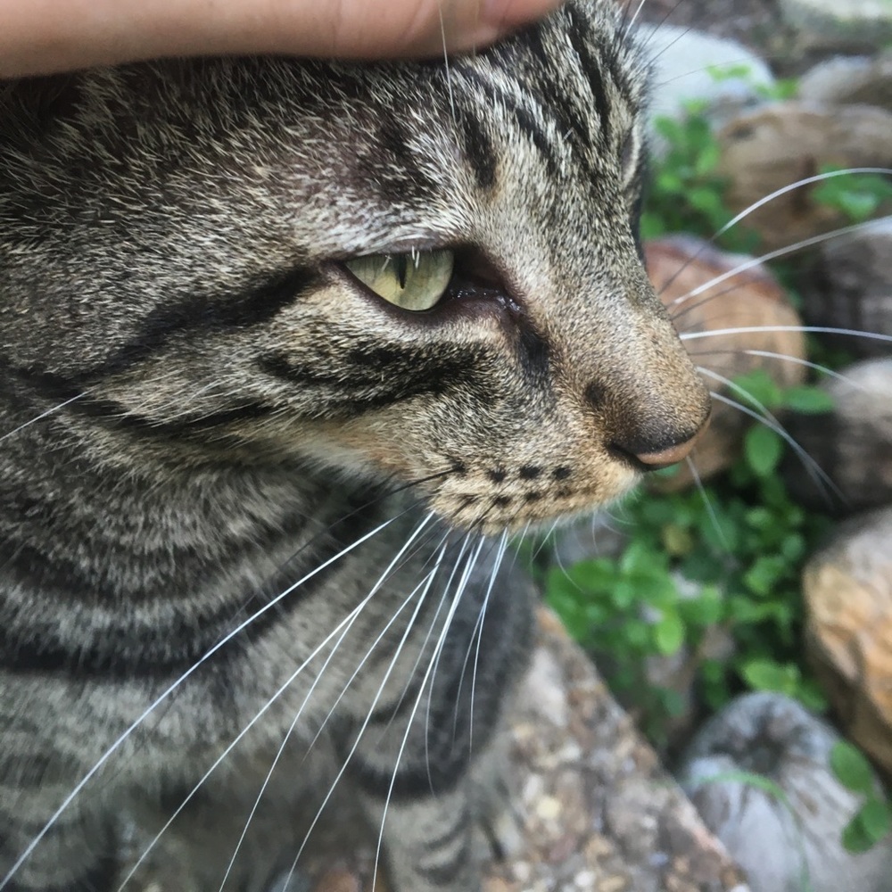 Meet your Posher, John